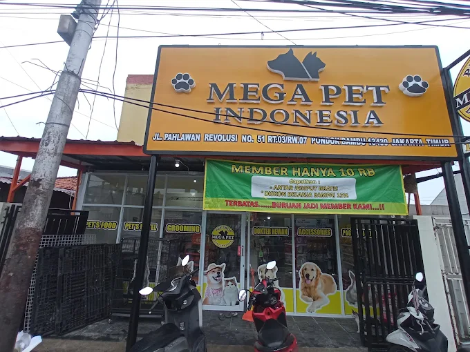Mega Petshop 19 - Jakarta Timur