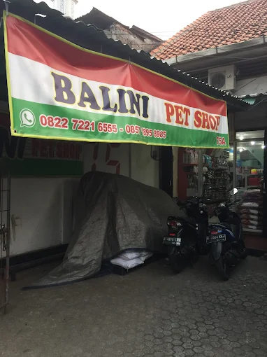 Balini Petshop 1 - Jakarta Selatan