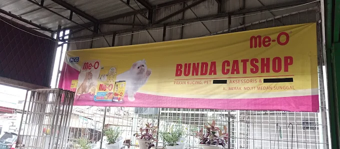 Bunda Catshop