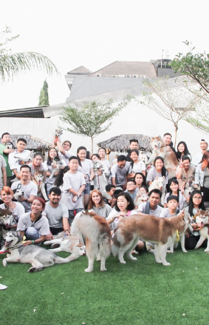 Family of Siberian Husky (FOSH)