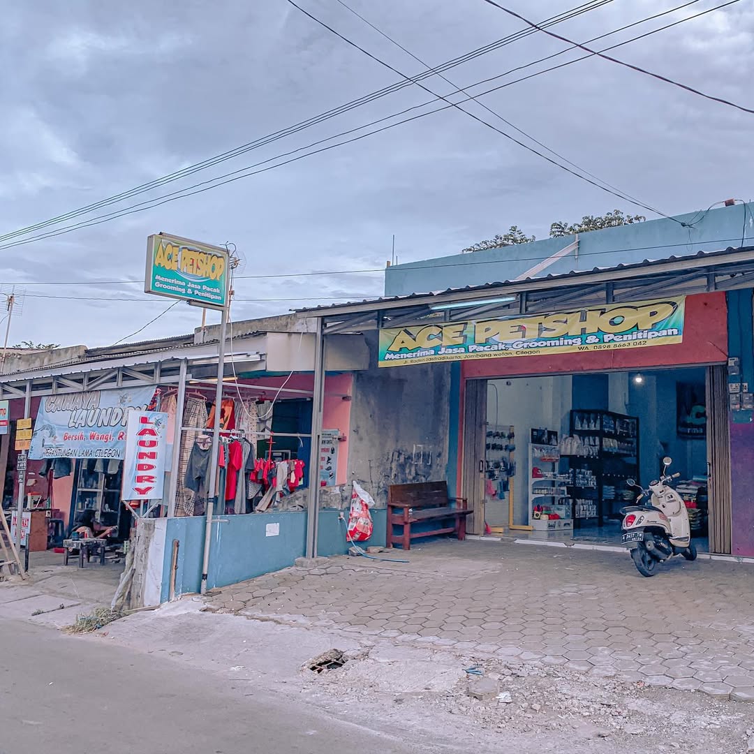 Ace Petshop (Jombang Cilegon)