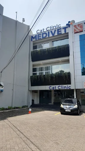 MEDIVET Cat Clinic Pondok Indah