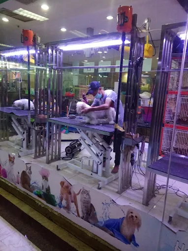 DD Petshop - Jakarta Pusat