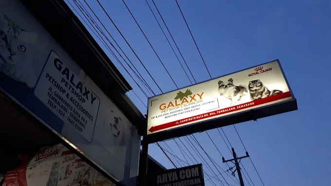 Galaxy Petshop