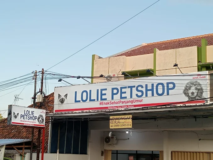 Lolie Petshop