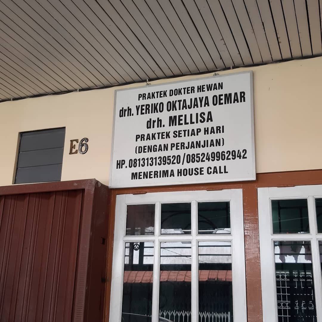 Dokter Hewan Pontianak Borneo Vet