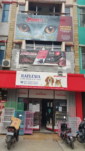 Raflesia Pet Shop dan Dokter hewan