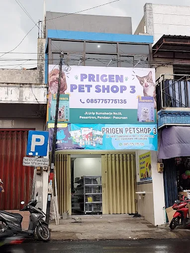 PRIGEN PETSHOP 3 (PANDAAN)