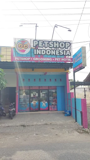 Petshop Indonesia 37 - Sipelem