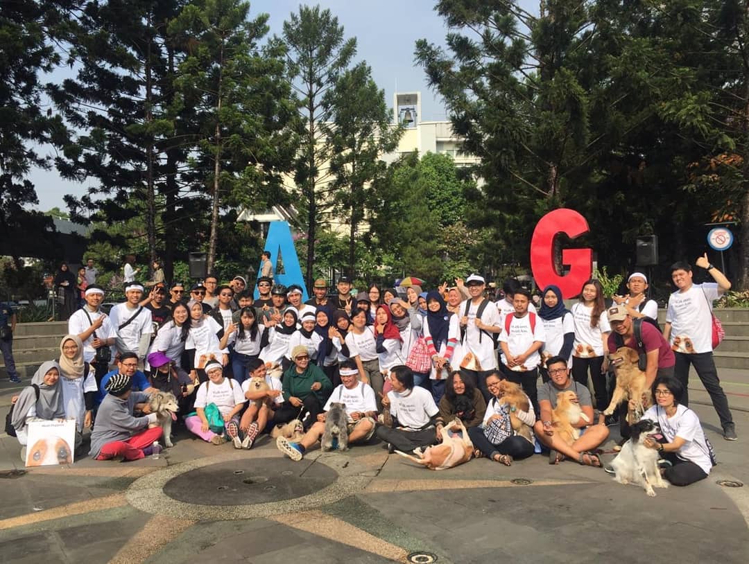 Petparkbdg Dog Community