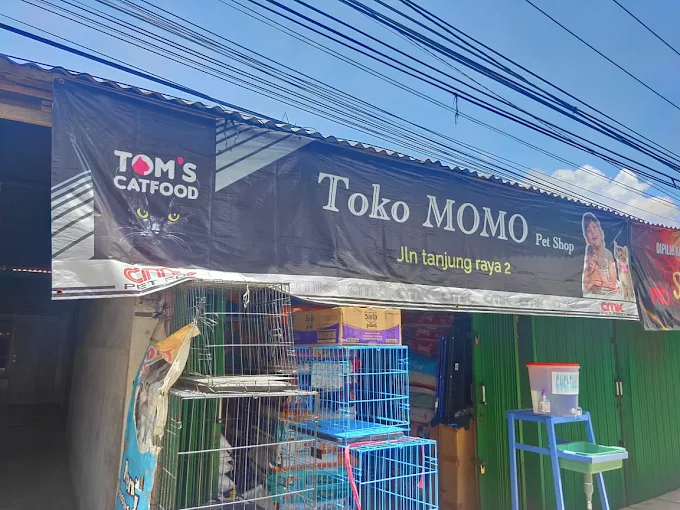 Momo Pet Shop