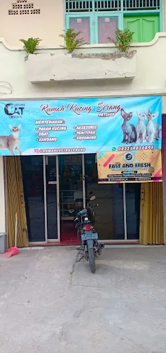 Rumah kucing serang
