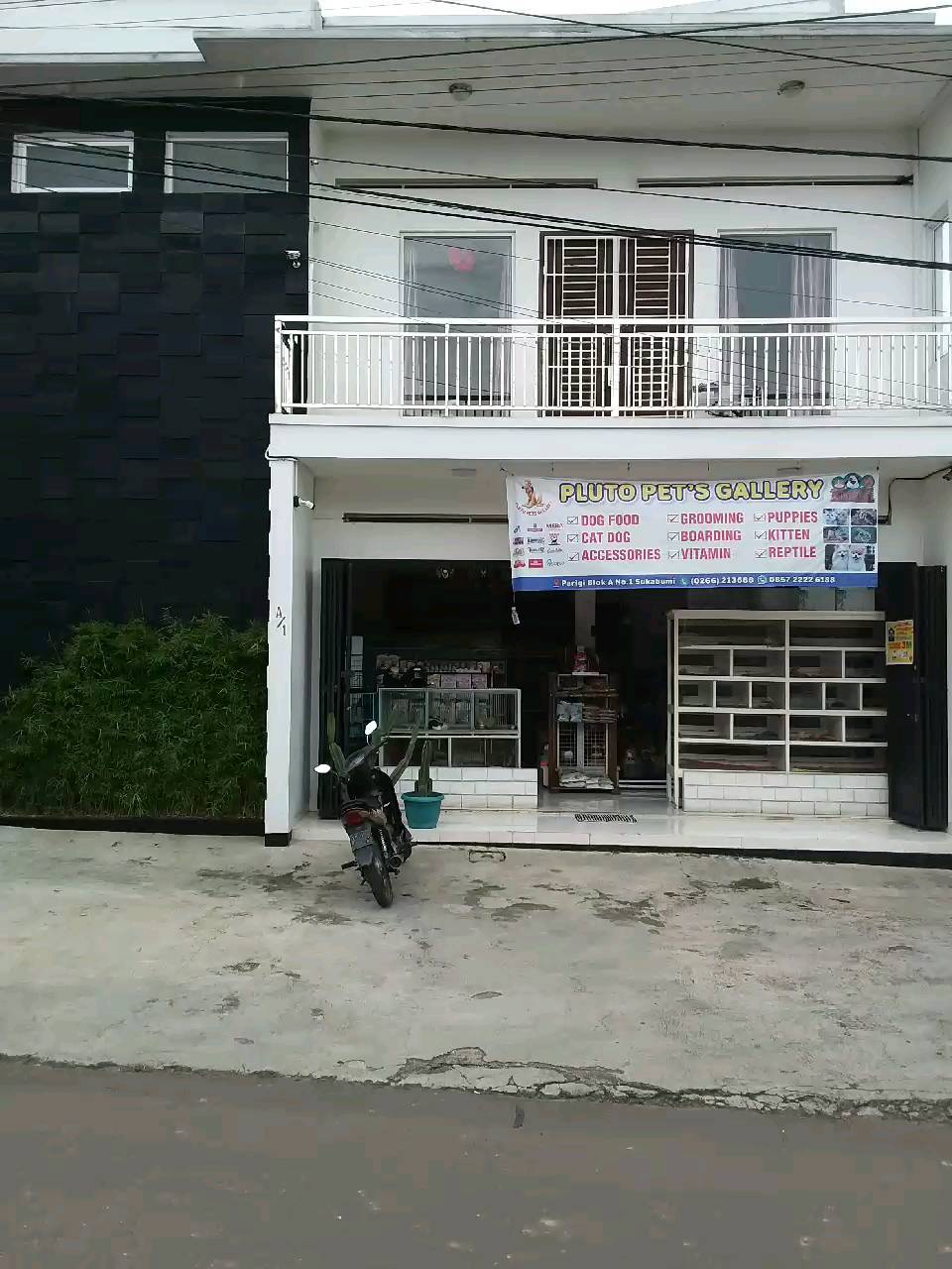Pluto Pets Gallery