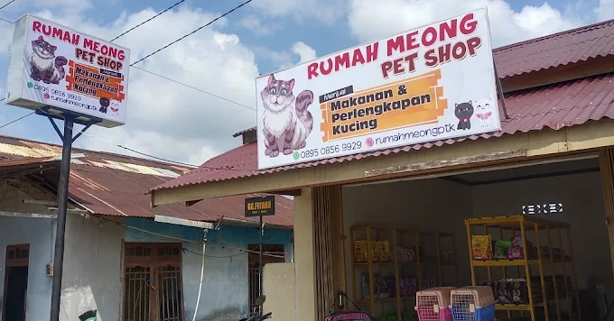 Rumah Meong Petshop Pontianak