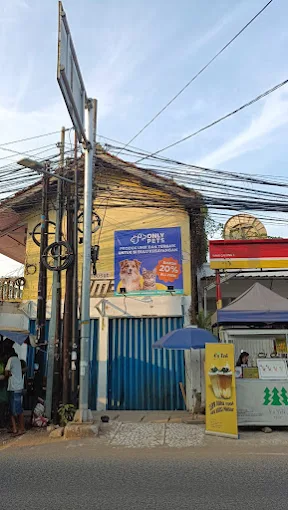 Only Pets x Paw Power Petshop - Jakarta Utara