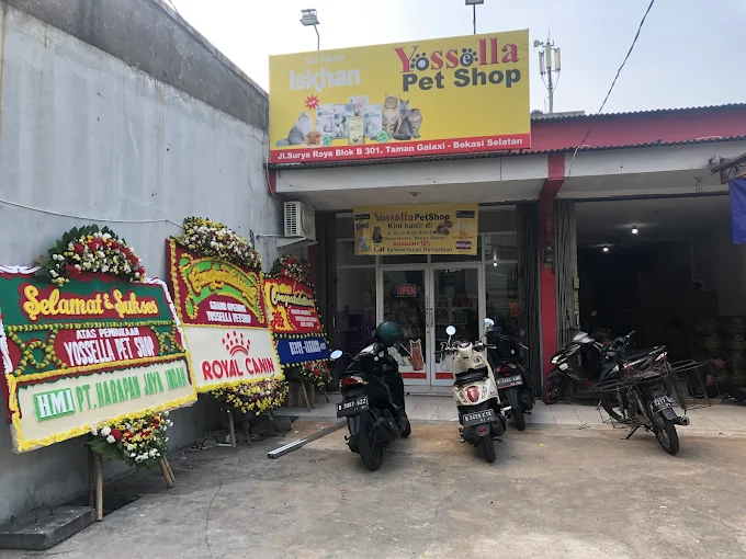 Yossella Petshop surya