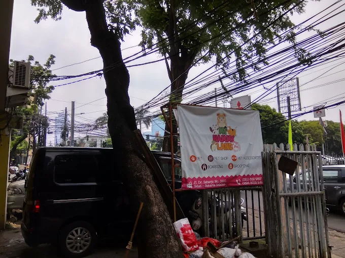 My Hammy Land Pet Shop - Jakarta Selatan