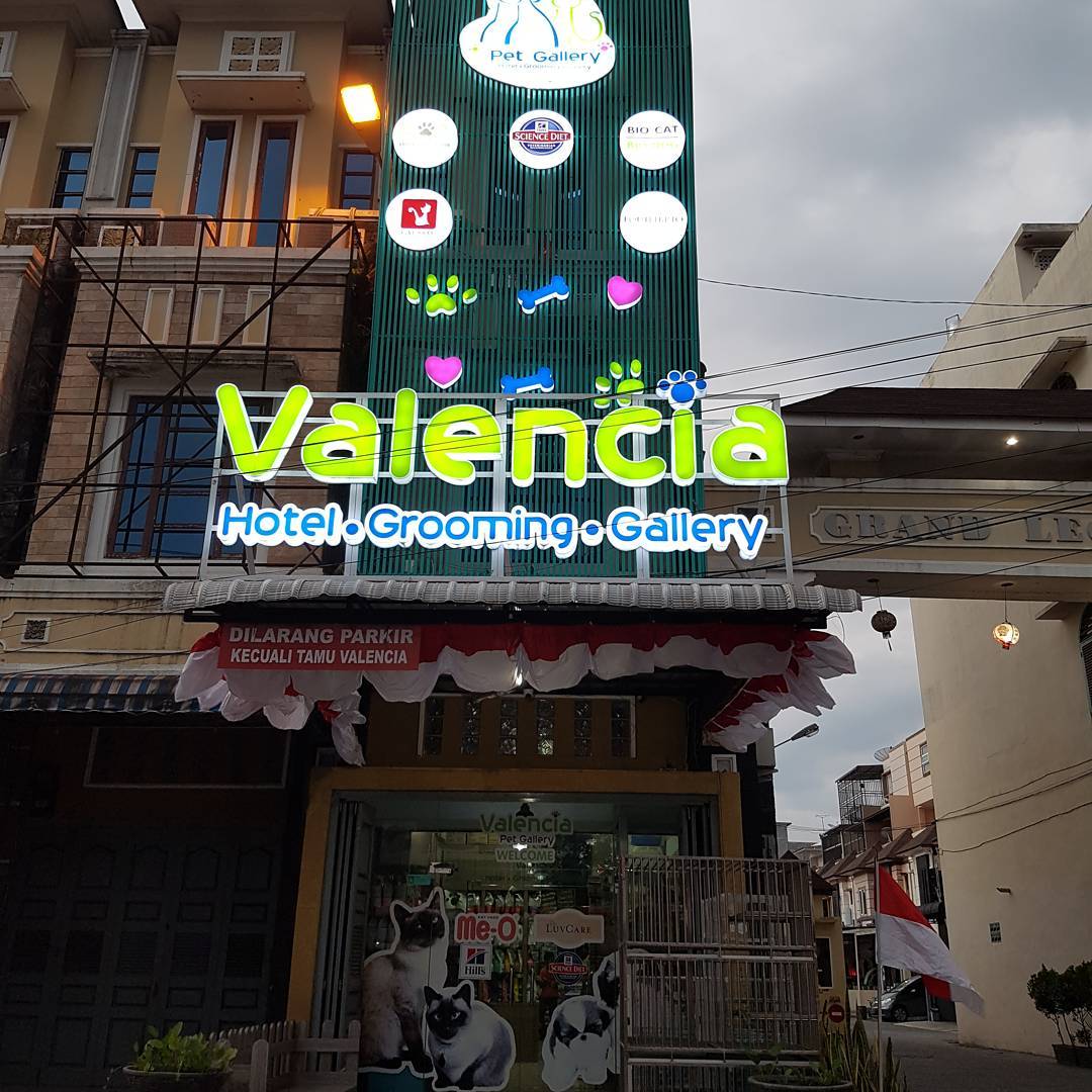 VALENCIA PET GALLERY