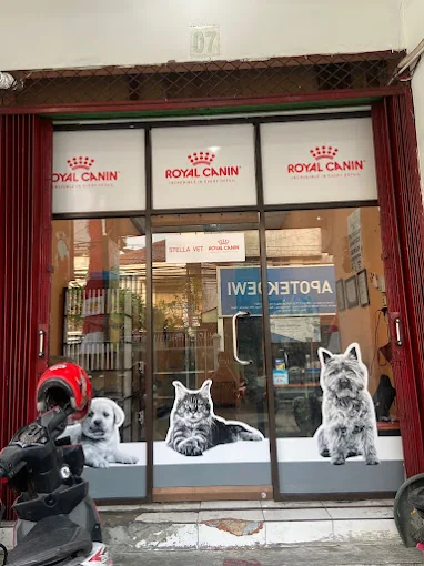 Stella Vet Kemayoran - Jakarta Pusat