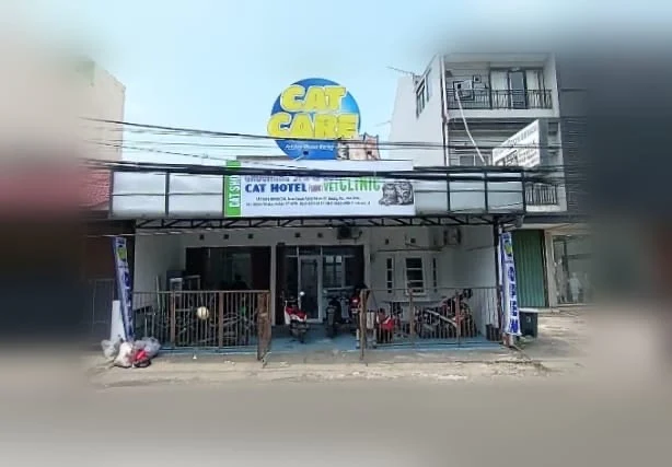 Petshop Cat Care Galaxy