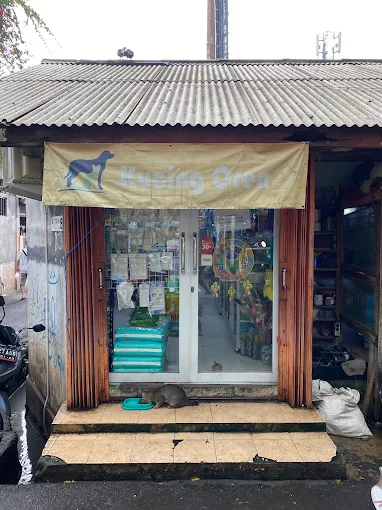 Kucing Oren Pet Shop - Jakarta Selatan