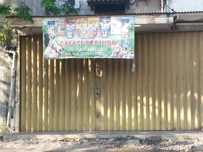 PALACE PETSHOP - Jakarta Utara