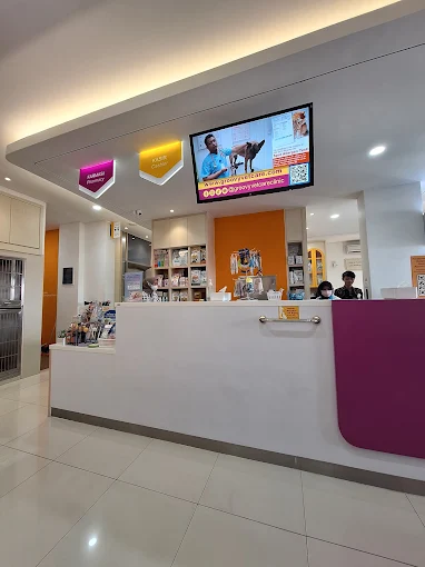 Groovy Vetcare Clinic