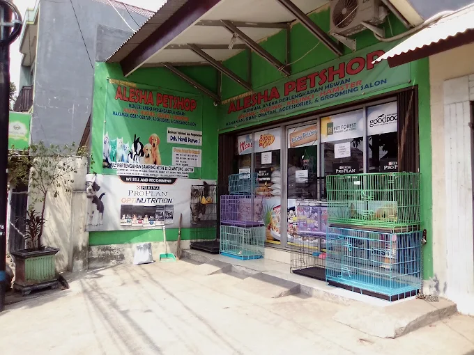 Alesha Petshop - Jakarta Timur