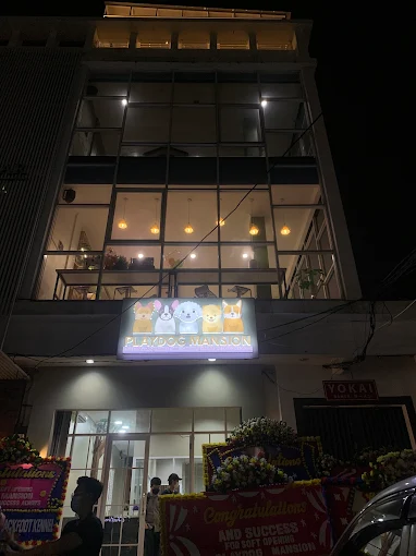 Playdog Mansion - Jakarta barat