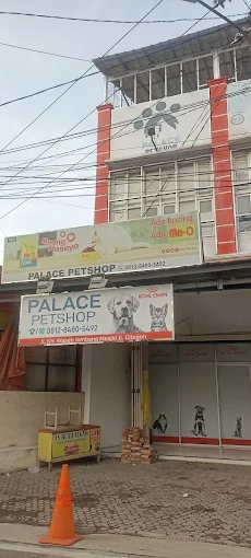 Palace Pet Shop