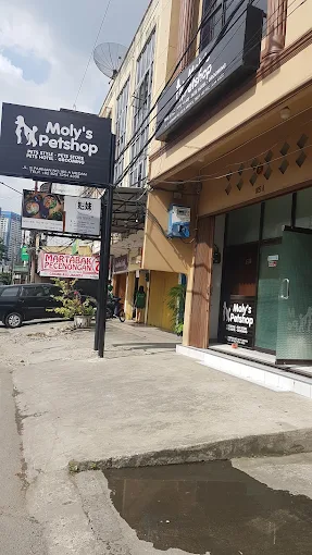 Moly's Petshop