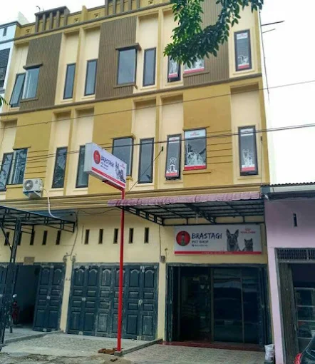 Brastagi pet shop halat