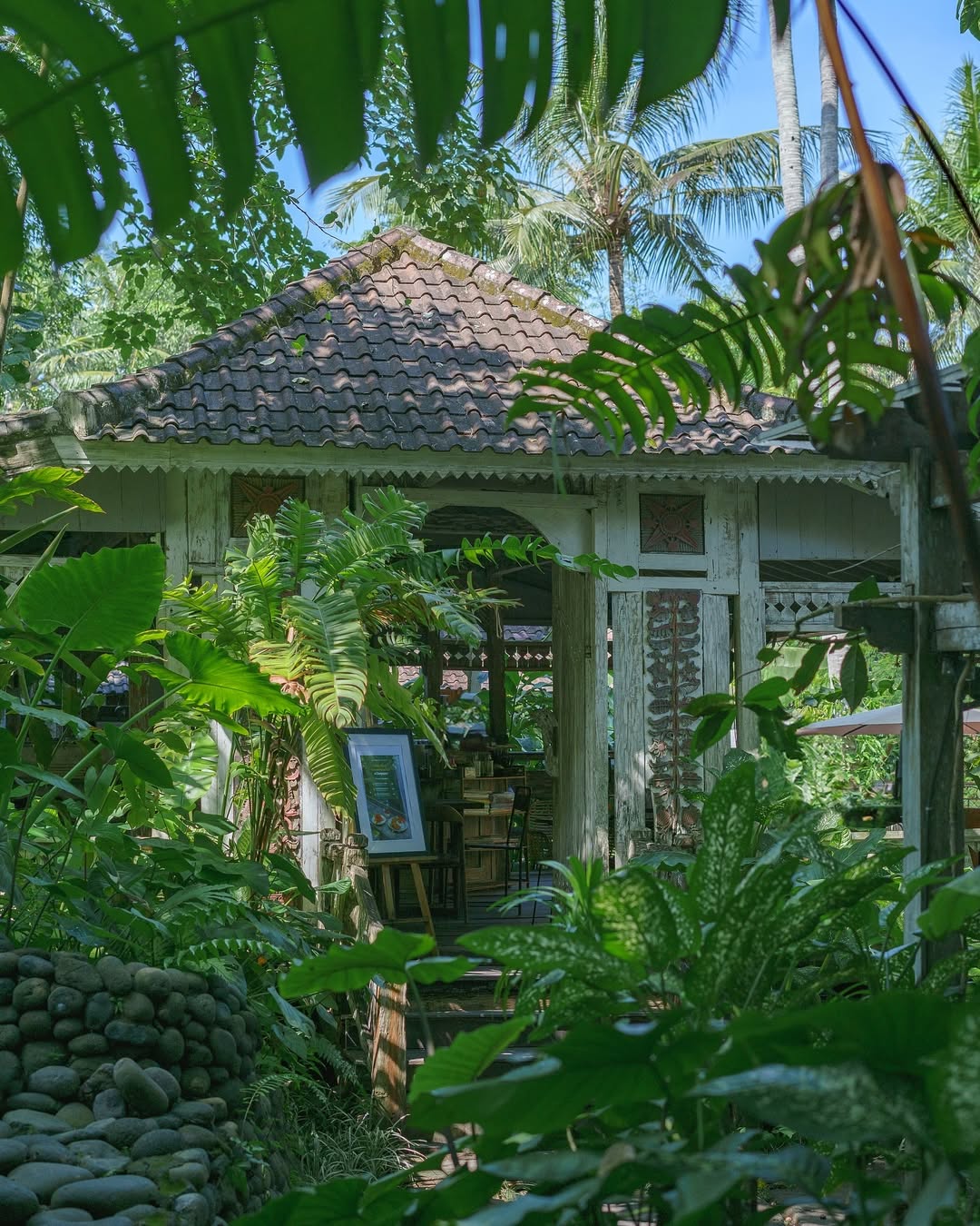 Aulia Petshop Dokter Hewan - Jakarta Timur