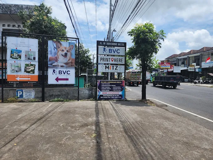 Bali Veterinary Clinic Tabanan