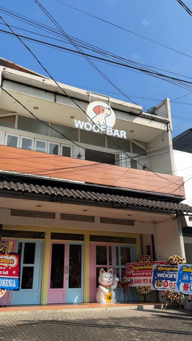 Hailey's Corner x Woofbar