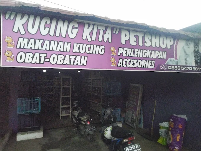 Petshop Kucing Kita