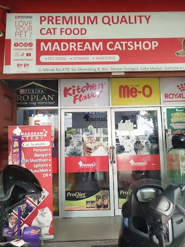 Madream Catshop
