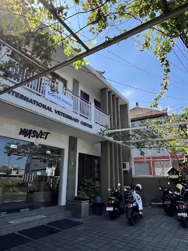 MASVET. Dokter Hewan