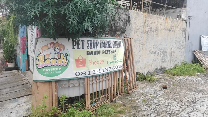Bandi Petshop Cempaka Putih - Jakarta Pusat