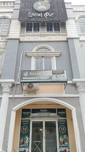 SOCIAL PET