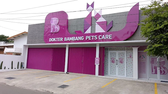 Dokter Hewan Bambang Pets Care
